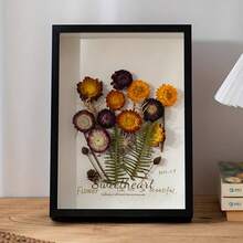 1pc DIY Dried Flower Display Frame, Shadow Box, Hollow Photo Frame, Storage Container, Action Figure Display, Specimen Display, Model Display Shelf, Suitable For Dried Flower Display, Photo Frame Gift For Mother's Day, Easter, Eid Al-Fitr And Other Holiday Decorations