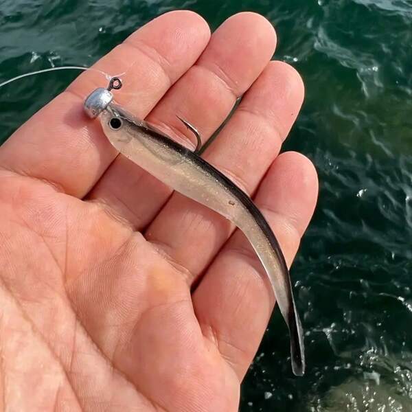 5/10/20/30 pièces Leurres de pêche souples bicolores, leurres factices en forme de loche pour la pêche