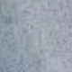 Medium Wash