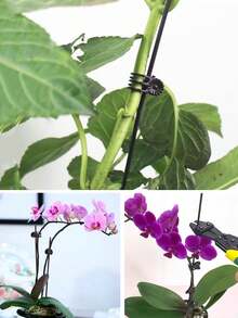 10 piezas/20 piezas Soporte para plantas de alambre de hierro con forma de vid y pinza para flores, poste de soporte para flores y plantas antialogamiento, pilar para plantas, marco de enredaderas, horticultura, fijación, planta en maceta - Soporte verde con diseño de mariposa hecho a mano, pinza para tallos de orquídeas, soporte para plantas, pinza de plástico para enredaderas, crecimiento de flores, pinza para ramas verticales, pinza de soporte para plantas de jardín