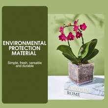 Plastic Butterfly Orchid Flower Pot With Breathable Water Penetration Hole Design For Indoor And Outdoor Plants