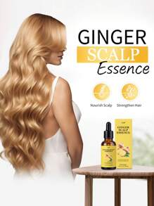 Champú y acondicionador de esencia de jengibre y romero, extracto de plantas para nutrir el cabelludo, control del aceite, cabello esponjoso y voluminoso, con extractos de jengibre, romero y panax, adecuado para todo tipo de cabello, suave y no irritante