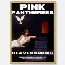 1 幅歌手粉红豹美学墙艺术高清帆布印刷海报适合家庭客厅装饰画无框