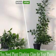 常春藤夹 - 绿色植物藤蔓壁挂支架，自粘式，无需钉子即可管理电线、电缆和数据线