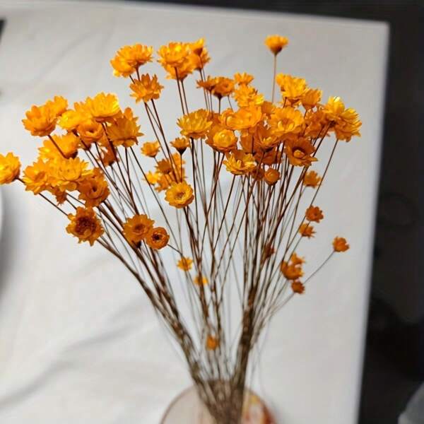 100pcs Dried Brazilian Star Daisy Bouquet - Vibrant Orange Yellow Mini Chamomile Flowers For Wedding Decor, Home Arrangement, And Valentine's Day Gift, Festive Home Decor | Vibrant Decor | Decorative Flowers, Bouquet Accessories,Fall Decor,Autumn