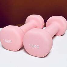 1 Pair Multi-Color Matte Dipped Dumbbell, Solid Cast Iron Dumbbell For Home Workout, Unisex Gym Accessories