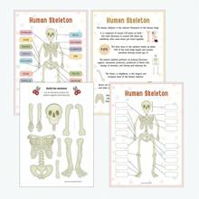 1 Libro interactivo de anatomía humana - Actividades de emparejamiento de órganos interactivos, descubre los secretos del Body, edición de viaje silencioso, el regalo educativo perfecto para cumpleaños para todas las edades