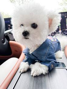 1pc Pet Clothes, Dog Cat Outfit, Small Dog Puppy Outdoor Stylish Casual Fashion Cute Pet Jacket Soft Bomber Coat - Blue - View 10