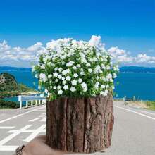 Wood Bark Flower Pot Rustic Succulent Planter Plant Vase Tree Stump Pen Holder Home Decor - Brown - View 1