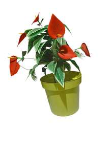 12 Inch Plastic Pot, 14 Lts Large Includes 8 Pcs. - Multicolor - View 5