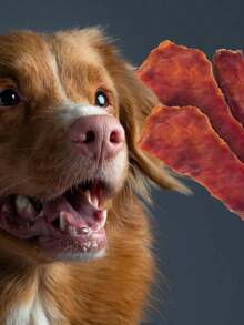 Jugeuetes para masticar para mascotas,interactivos para premio, sabor POLLO - Amarillo - Ver 5