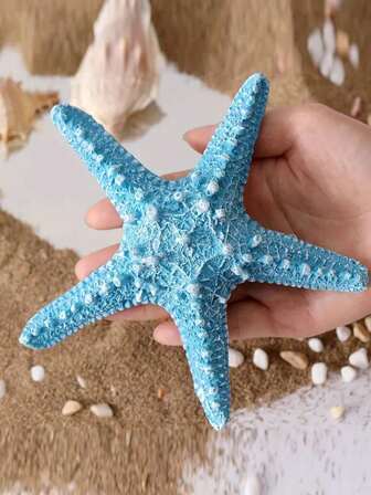 4pcs Blue Ocean Starfish Decor, Resin Sculpture Arts And Crafts, Suitable For Bookshelf, Home, Living Room, Office, Coffee Shop Decoration, Room Tabletop Display, Foyer Decoration (Ornament Product, Please Check Size Before Ordering)