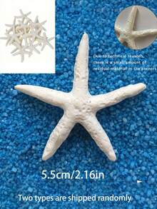 10个装多功能树脂海星装饰品，完美适用于婚礼、节日、家居工艺品、家居装饰摆件及配件，是生日、夏威夷派对、海滩派对、泳池装饰、水族箱装饰、婚礼装饰、家居装饰和手工艺项目、情人节手工艺品的理想之选。