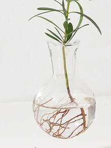 1 Juego, Terrario De Planta Hidropónica Vaso De Amor En Forma De Corazón Con Soporte De Madera, Estación De Propagación De Planta Hidropónica Para Interior Para Decoración De Hogar Oficina Jardín, Regalo Para Amantes De Las Macetas