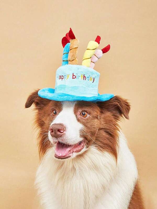 1/2 piezas Gorra de cumpleaños para mascotas, necesaria para la decoración de cumpleaños de mascotas, gorra de cumpleaños para gatos/perros, resistente a mordeduras y con sonido de arruga, viene con pañuelo triangular de cumpleaños, adecuado para gatos, perros, patos, suministros para mascotas, juguetes para mascotas, ropa para mascotas