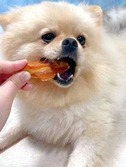 Premios de entrenamiento para mascotas, en forma de figuritas, con sabor POLLO