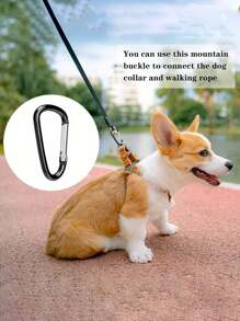 4pcs Aluminum Snap Hook Carabiner D-Ring Key Chain Clip Keychain Hiking Camp,Colorful Outdoor Keychain,D-Shaped Aluminum Carabiners, Heavy Duty Spring Hook Keychain Clips, Lightweight Mixed Colors, Ideal For Camping, Fishing, Pet Leashes, And Securing Indoor/Outdoor Gear, Camping Accessories