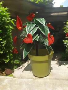 12 Inch Plastic Pot, 14 Lts Large Includes 8 Pcs. - Multicolor - View 6