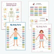 1 Libro interactivo de anatomía humana - Actividades de emparejamiento de órganos interactivos, descubre los secretos del Body, edición de viaje silencioso, el regalo educativo perfecto para cumpleaños para todas las edades