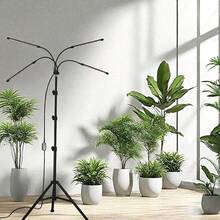 Full Spectrum Of Plant Growth Light, LED Fill Light Imitation Natural Light, 10 Dimmable, For Indoor Plant Growth, 3/9/12h Timer, Tripod Stand Plant Light Height Adjustable Stand, 360 ° Flexible Gooseneck - 黑色 - 查看 2