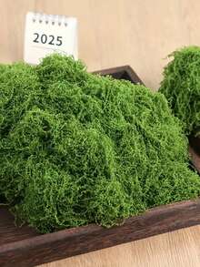 100/200/300克人造苔藓串，即假苔藓，适合春季室内植物假苔藓。它可以作为春季室内植物的人造苔藓，绿色苔藓 - 綠色 - 查看 6