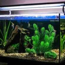 Piante per acquario, accessori per acquario, decorazioni acquario artificiali per la decorazione del serbatoio dei pesci