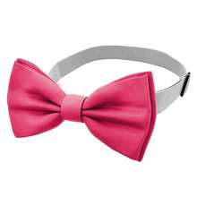 1件可调节领结，男士预系领结，适合派对和休闲场合 - 彩色 - 查看 6