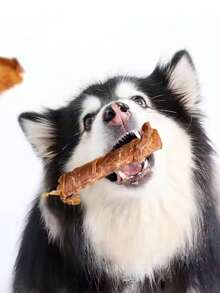 Jugeuetes para masticar para mascotas,interactivos para premio, sabor POLLO - Amarillo - Ver 2