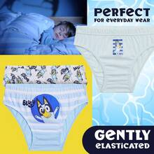 Bluey Briefs Comfortable Soft Breathable Underwear Pack Of 5 Underpants - Multicolor - View 4