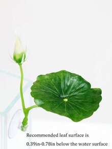 斗鱼鲈鱼休息躲叶产卵荷叶亚仿真水草叶睡床水族箱造景装饰摆件，送给宠物的最佳礼物，宠物用品