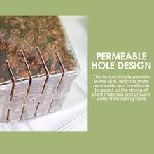 Plastic Butterfly Orchid Flower Pot With Breathable Water Penetration Hole Design For Indoor And Outdoor Plants