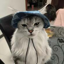 Summer Pet Bucket Hat Sun Hat Dog Hat Cat Headdress With Adjustable Length, Suitable For Small And Medium-Sized Cats And Dogs - Multicolor - View 3