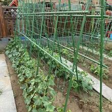 28pcs Metal Garden Trellis Set, Anti-Corrosive, Easy To Insert, Suitable For Fruits, Plants, Vegetables, Adjustable And Foldable Grid Kit, Outdoor Planting Essential - Army Green - View 7