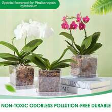 Plastic Butterfly Orchid Flower Pot With Breathable Water Penetration Hole Design For Indoor And Outdoor Plants