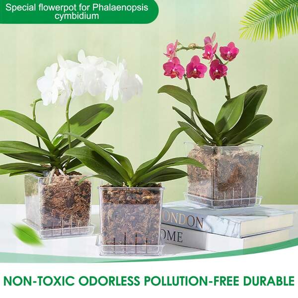 Maceta de plástico con diseño de flor de orquídea mariposa y agujeros de drenaje para permitir la penetración de agua, para plantas de interior y exterior
