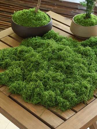 100/200/300克人造苔藓串，即假苔藓，适合春季室内植物假苔藓。它可以作为春季室内植物的人造苔藓，绿色苔藓