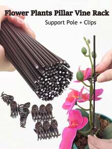 10 piezas/20 piezas Soporte para plantas de alambre de hierro con forma de vid y pinza para flores, poste de soporte para flores y plantas antialogamiento, pilar para plantas, marco de enredaderas, horticultura, fijación, planta en maceta - Soporte verde con diseño de mariposa hecho a mano, pinza para tallos de orquídeas, soporte para plantas, pinza de plástico para enredaderas, crecimiento de flores, pinza para ramas verticales, pinza de soporte para plantas de jardín