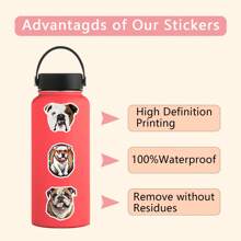 110PCS Bulldog Stickers Aesthetic Vinyl Stickers High Quality Stickers Decals Scrapbook,Journaling,Laptop,Bumper,Skateboard,Water Bottles,Computer,Phone Stickers Can Bring A Lot Of Fun To Your Life,The Perfect Gift For Adults