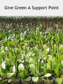 10 piezas/20 piezas Soporte para plantas de alambre de hierro con forma de vid y pinza para flores, poste de soporte para flores y plantas antialogamiento, pilar para plantas, marco de enredaderas, horticultura, fijación, planta en maceta - Soporte verde con diseño de mariposa hecho a mano, pinza para tallos de orquídeas, soporte para plantas, pinza de plástico para enredaderas, crecimiento de flores, pinza para ramas verticales, pinza de soporte para plantas de jardín