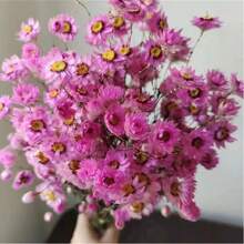 A Bouquet Of Everlasting Flowers Home Decor Floral Arrangement, Small White Daisies Wedding Bouquet