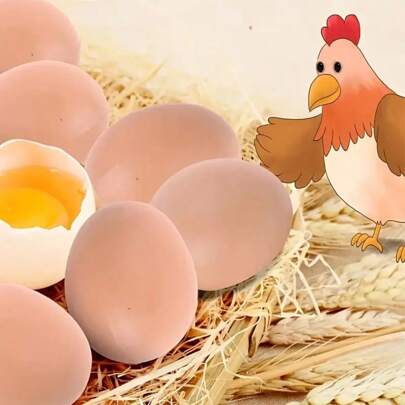 8pcs Realistic Artificial Plastic Eggs, Suitable For Nest Building, Chicken Coop Decoration, Farm Animal Enclosure Accessories