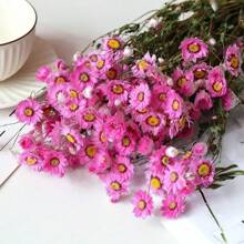 A Bouquet Of Everlasting Flowers Home Decor Floral Arrangement, Small White Daisies Wedding Bouquet