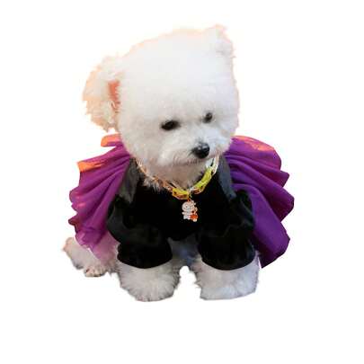 Pet Outdoor Gear Sets