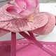 Rosa Fucsia