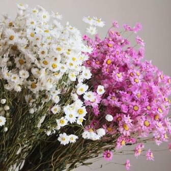 A Bouquet Of Everlasting Flowers Home Decor Floral Arrangement, Small White Daisies Wedding Bouquet