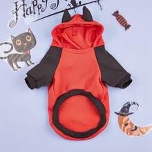 Pet Outdoor Gear Sets