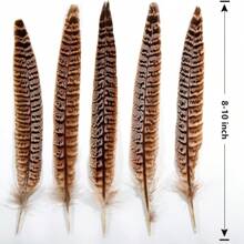 THARAHT 10pcs Women Round Neck Pheasant Feather, Natural Feathers 8-10 Inch/20-25cm, Suitable For Crafts, Home, Wedding, Party, Performance, DIY Decoration - Female Pheasant Feathers