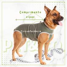 Macacão Cirúrgico Pet para Cachorros e Gatos Pós Cirúrgica - Multicolorido - Visão 7