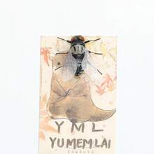 1/5 cái/Bộ nam châm tủ lạnh hình côn trùng thật, ruồi, kiến, ong, bọ rùa, miếng dán tủ lạnh, côn trùng, đồ trang trí nhà cửa - Nhiều màu - Xem 12