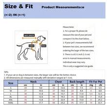 Candy Color Angel Raincoat Waterproof Dog Clothes For Spring And Summer Rainy Days - Blue - View 6